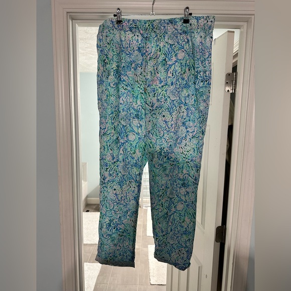 NWT XL 31" Taron Mid-Rise Linen Pant in Surf Blue Soleil It On Me - Picture 2 of 3